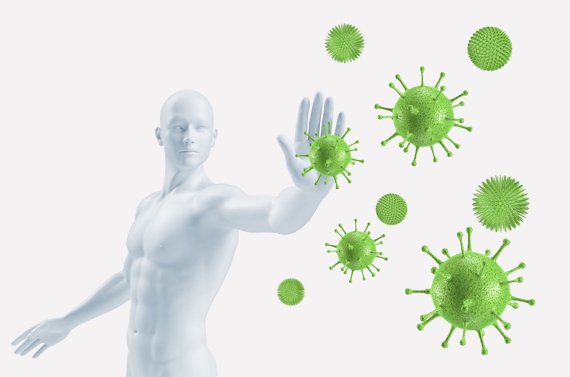 Immunsystemaufbau